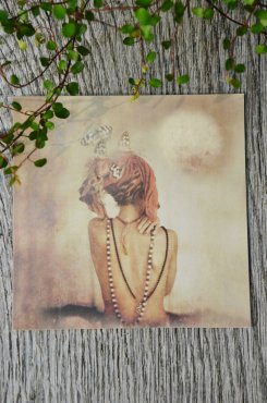 Tove Frank, kort, Gypsie stories