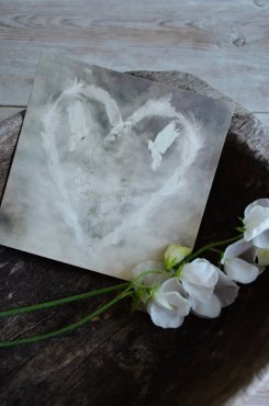 Tove Frank, kort, Feather Heart