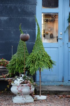 Marschallh�llare blomma nr 2, Eldgarden