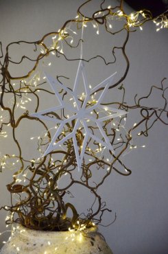 Stjrna, hngande vit, Nordal