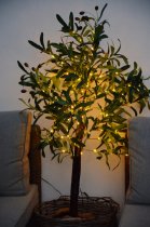 Dekorationsträd, "Oliv", utebelysning